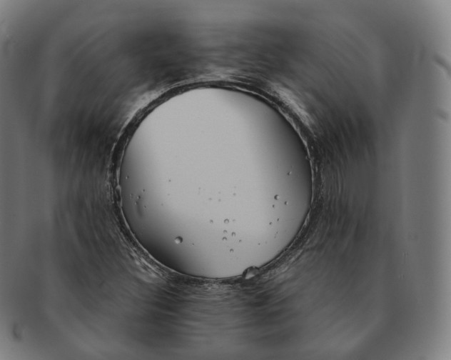 X0000091301308200708241042