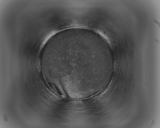 X0000091301310200708241042