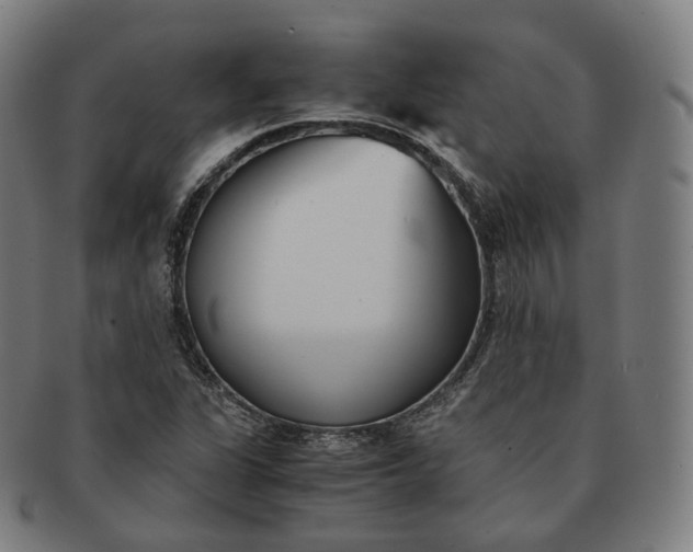 X0000091301311200708241042