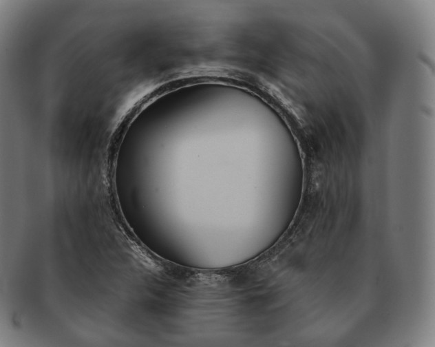 X0000091301312200708241042