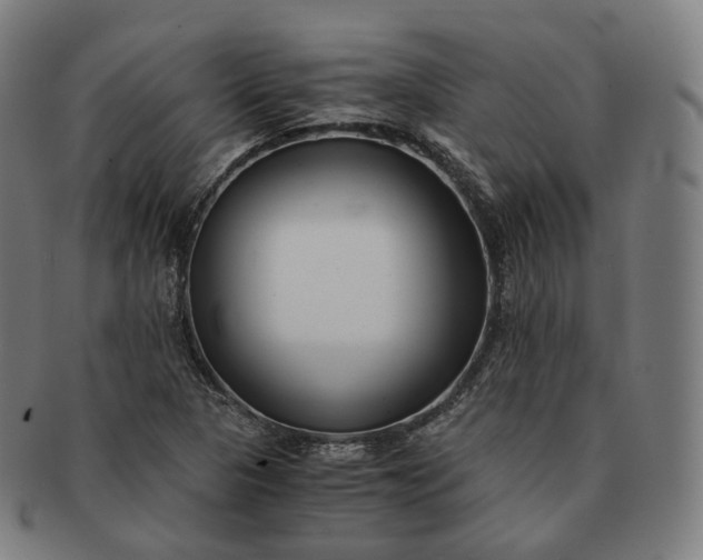 X0000091301313200708241042