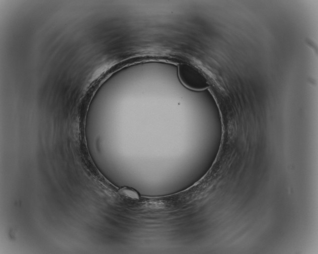 X0000091301315200708241042