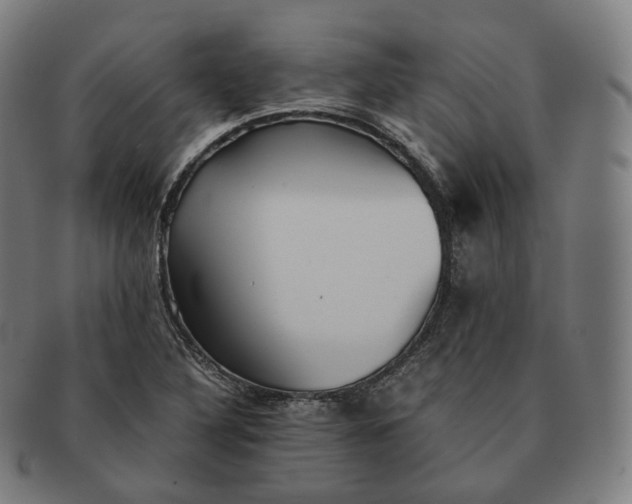 X0000091301316200708241042