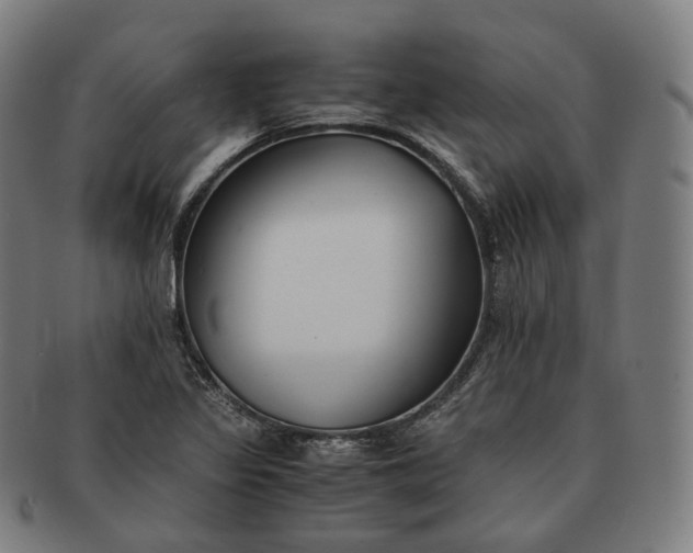 X0000091301317200708241042