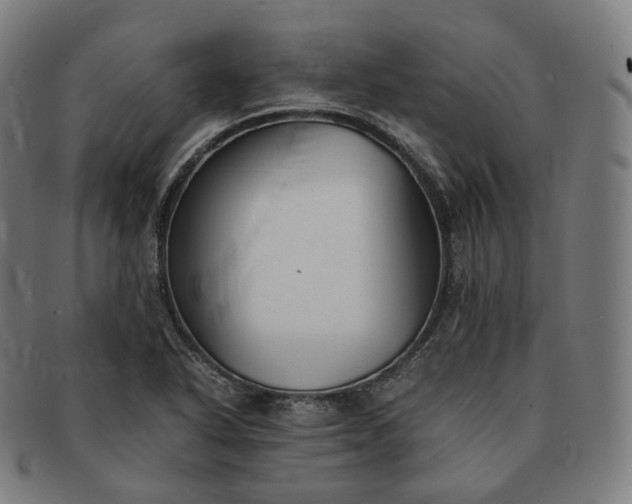 X0000091301318200708241042