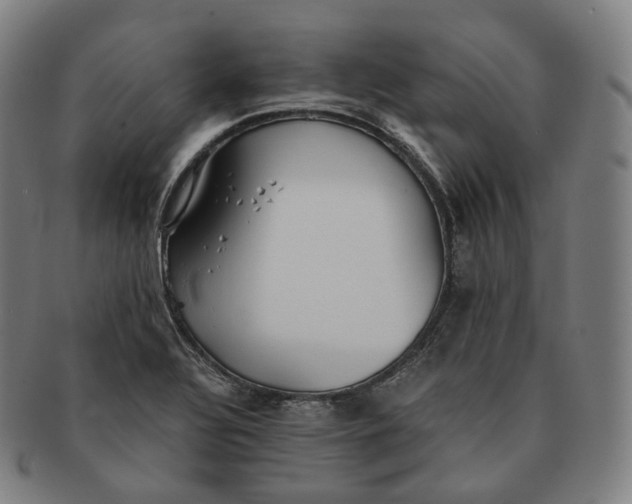 X0000091301320200708241042