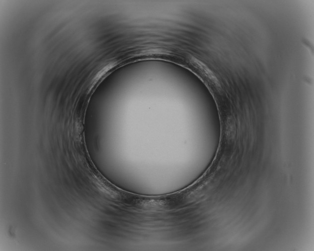 X0000091301321200708241042