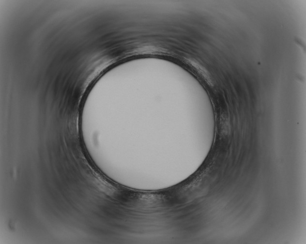 X0000091301322200708241042