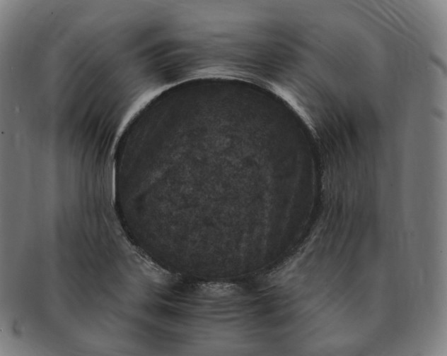 X0000091301323200708241042