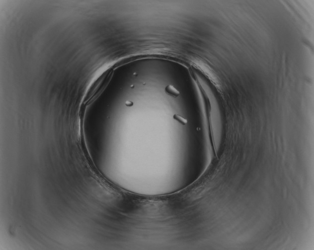 X0000091301324200708241042