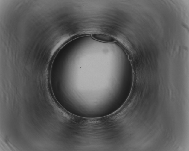 X0000091301325200708241042