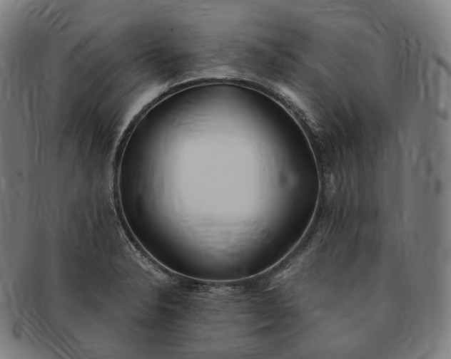 X0000091301326200708241042