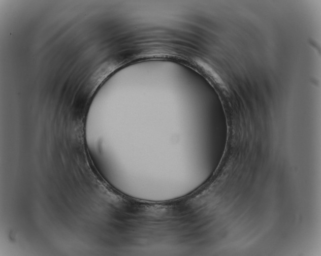 X0000091301329200708241042