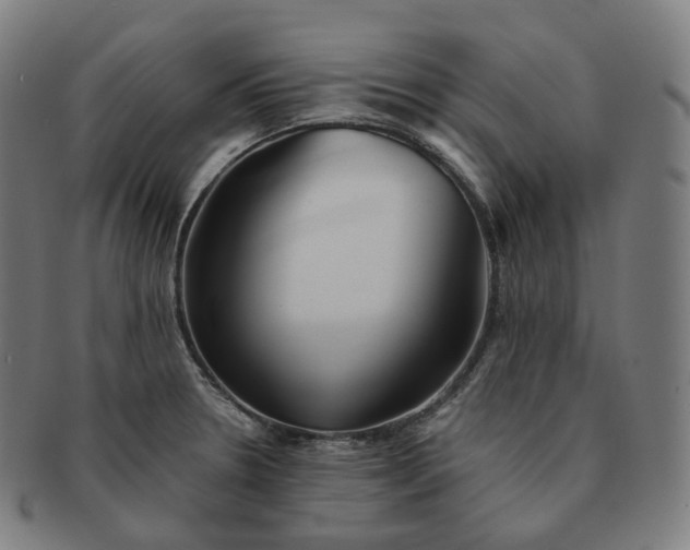 X0000091301330200708241042