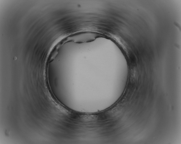 X0000091301331200708241042