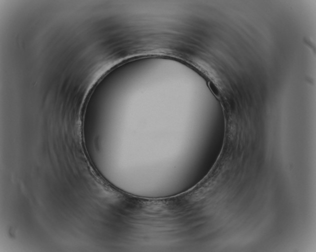 X0000091301332200708241042