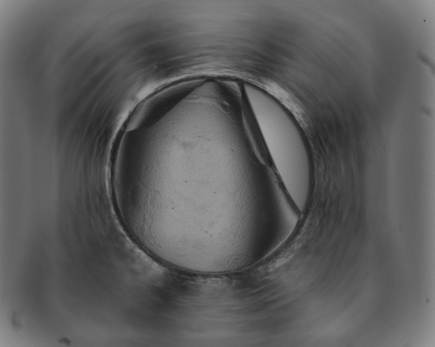 X0000091301334200708241042