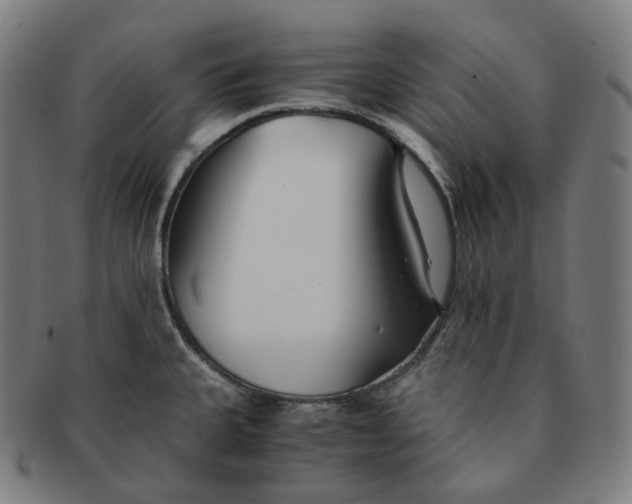 X0000091301335200708241042