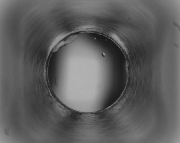 X0000091301336200708241042