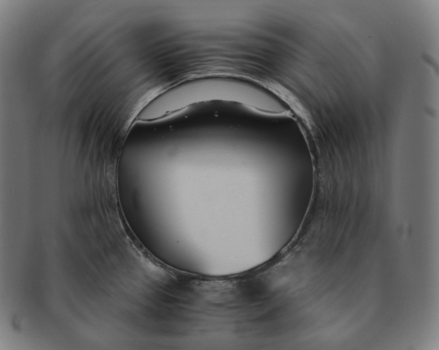 X0000091301337200708241042