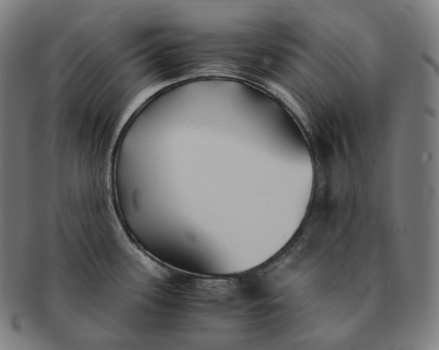 X0000091301339200708241042