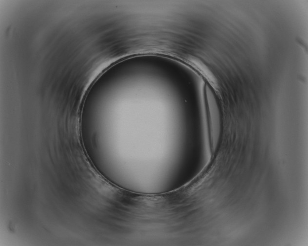 X0000091301340200708241042