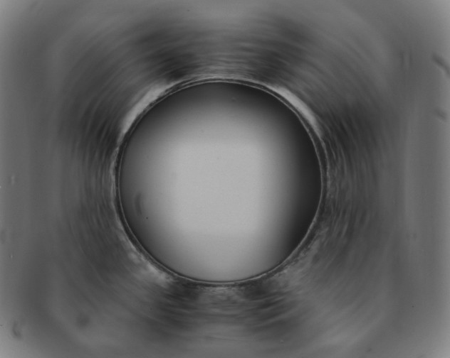 X0000091301341200708241042