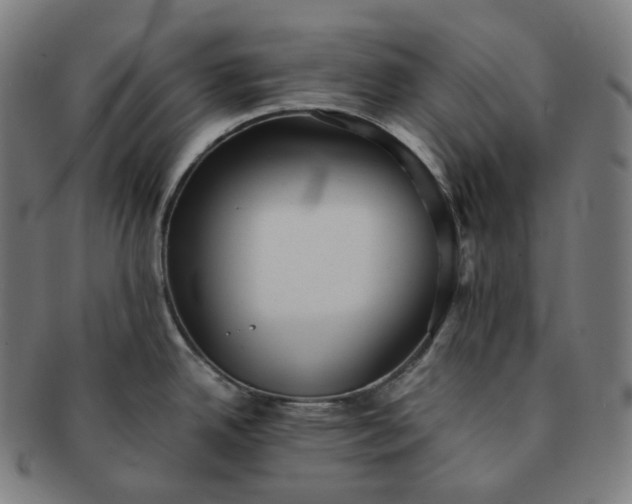 X0000091301342200708241042