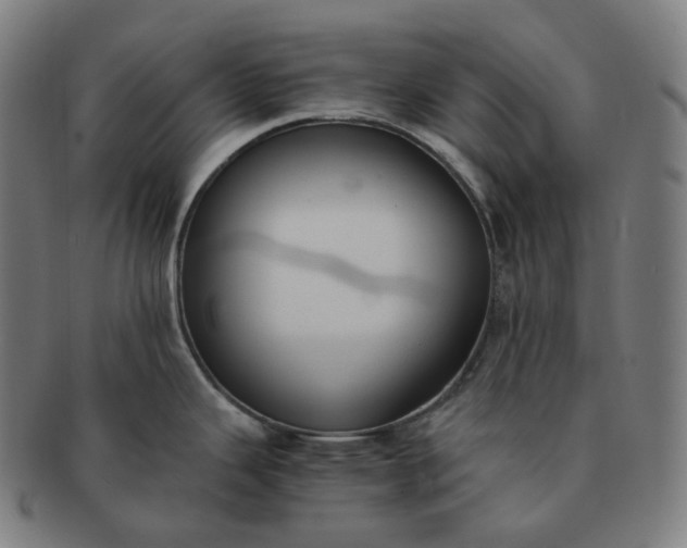 X0000091301343200708241042