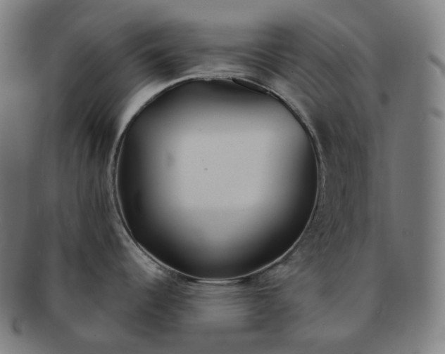 X0000091301344200708241043