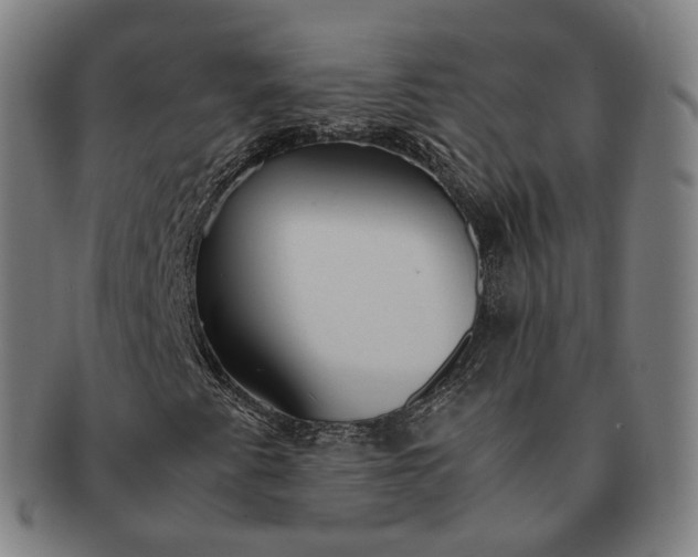 X0000091301345200708241042