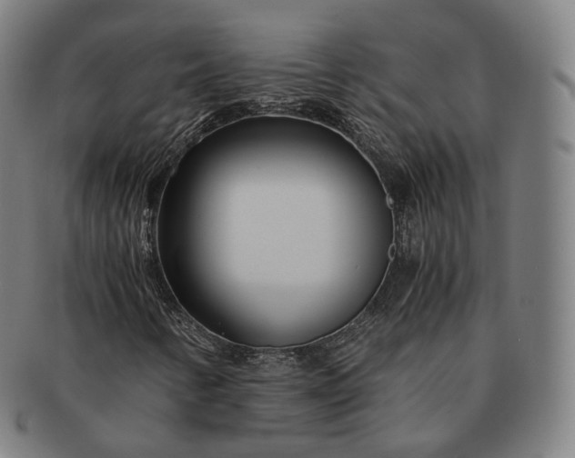 X0000091301346200708241042