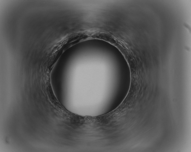 X0000091301349200708241042