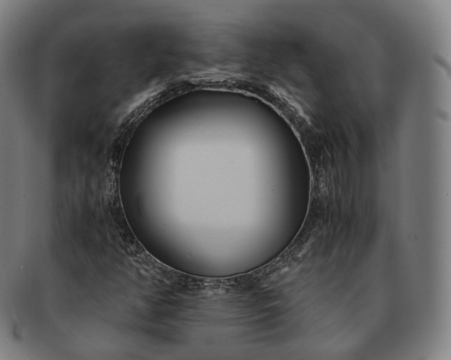 X0000091301350200708241042