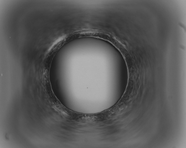 X0000091301351200708241042