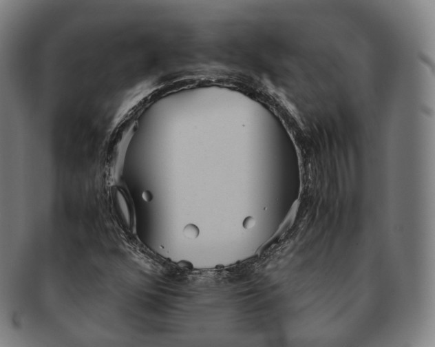 X0000091301352200708241042