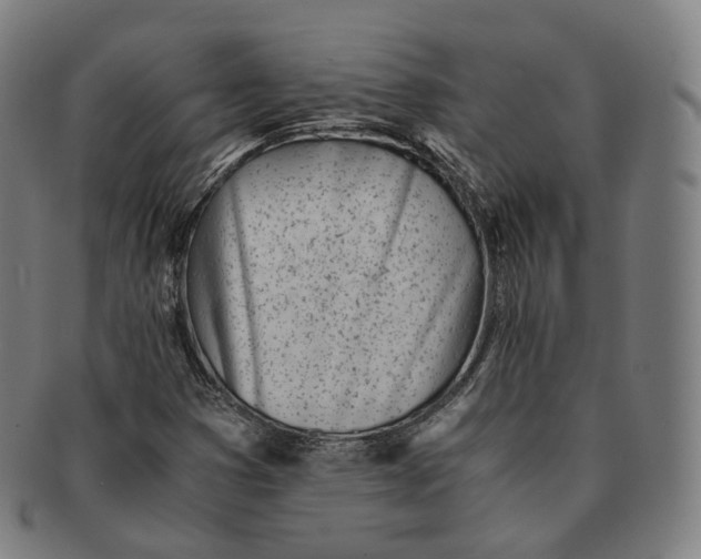 X0000091301353200708241042