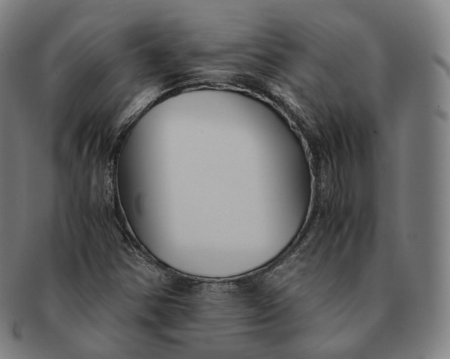 X0000091301354200708241042