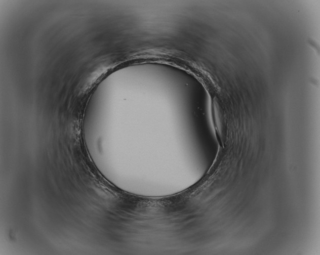 X0000091301355200708241042