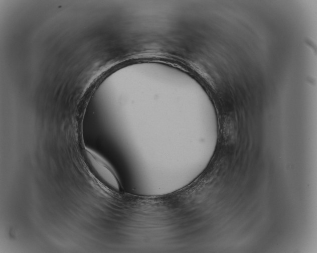 X0000091301356200708241042