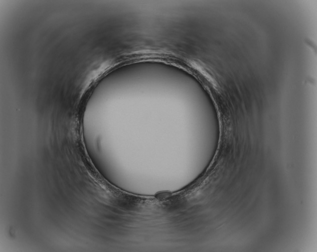 X0000091301357200708241042