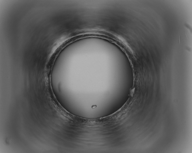 X0000091301360200708241042