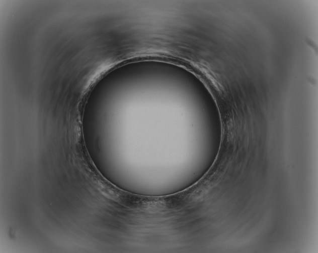 X0000091301363200708241042