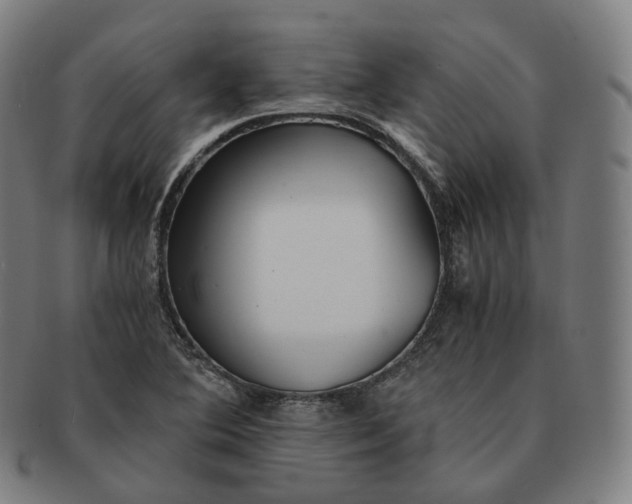 X0000091301364200708241042