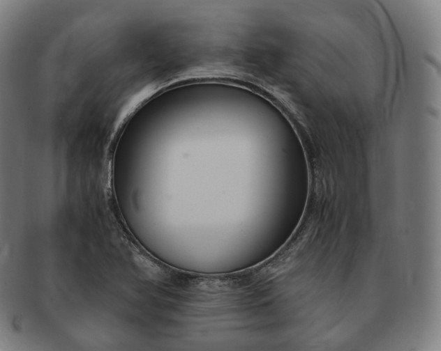 X0000091301366200708241042