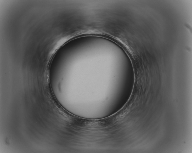 X0000091301367200708241042