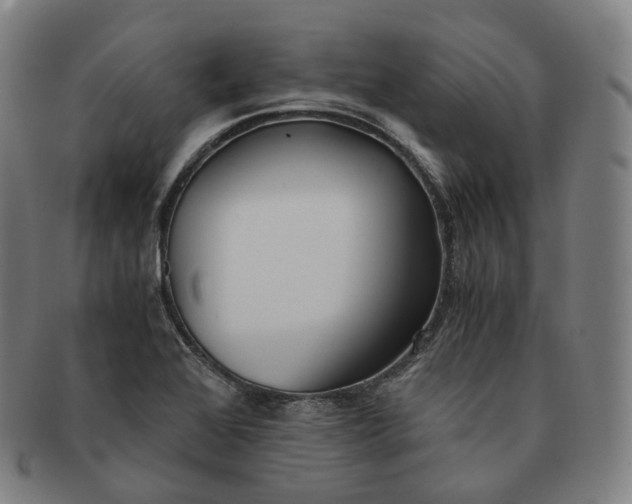 X0000091301368200708241042