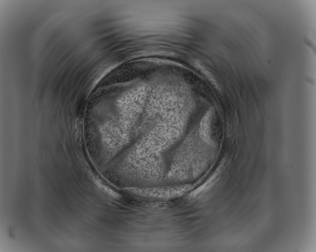 X0000091301369200708241042