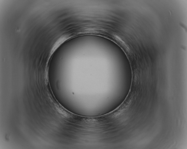 X0000091301370200708241042