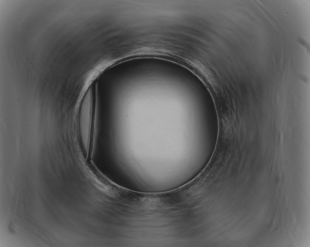 X0000091301371200708241041